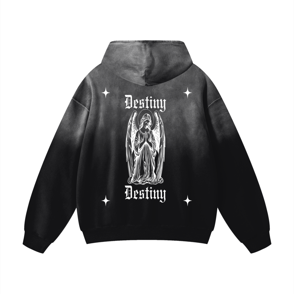 Destiny Washed Hoodie
